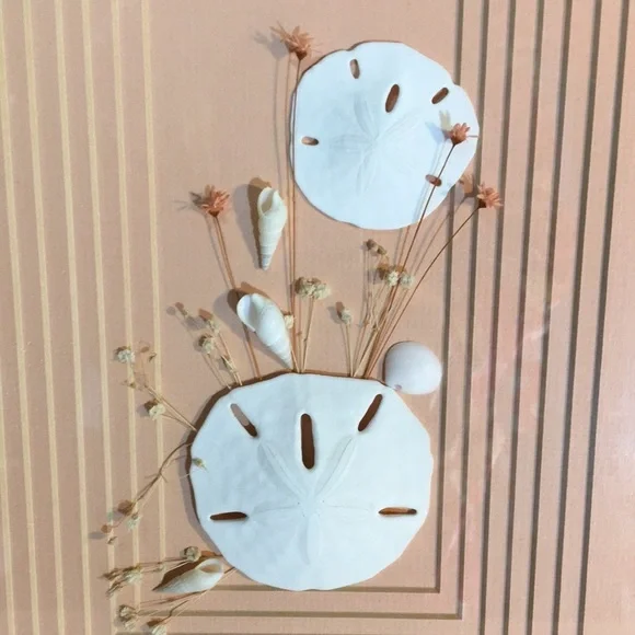 Vintage Framed Sand Dollars & Dried Flower Wall Art in a Pink Metal Frame - Picture 3 of 17